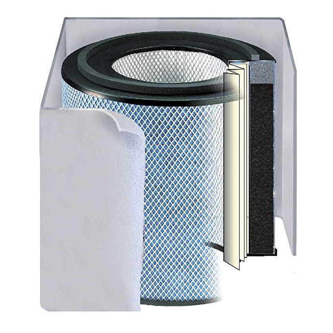 HM 400 HealthMate Air Filter Color: White
