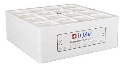 IQAir HyperHEPA Replacement Filter [Medical-Grade Air] Allergies, Pets, Asthma, Odors, Smoke, Pollen, Dust; Swiss Made